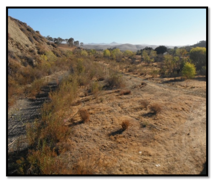 Development of New Tools to Assess Riparian Extent and Condition-A Central Coast Pilot Stud-Final Report USEPA Wetlands Program Development Grant CD- 00T83101