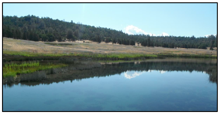 Depressional CRAM Verification Final Report