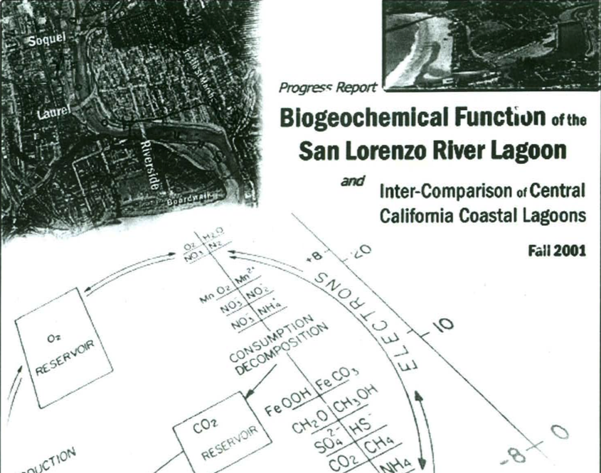 Biogeochemical Function of the San Lorenzo River Lagoon