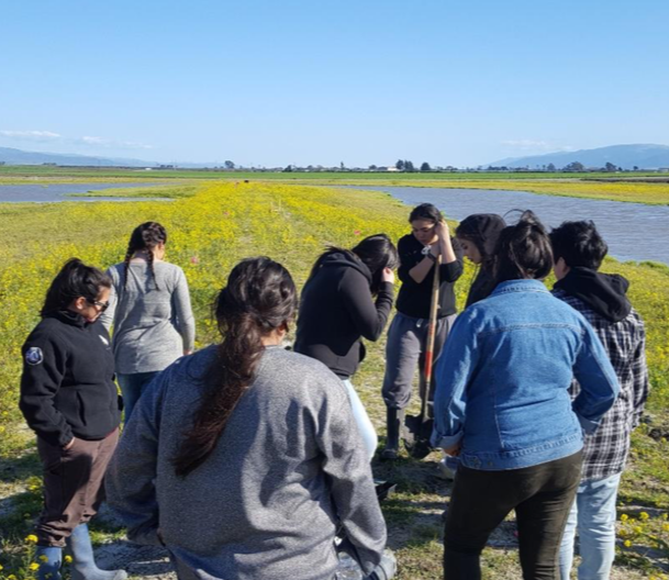 Castroville Community Outreach Summary Report