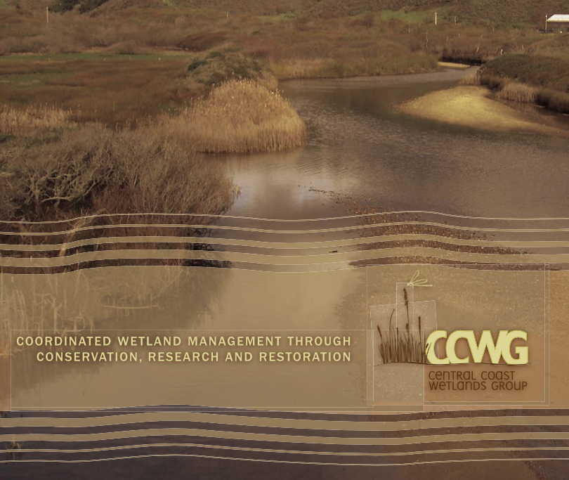 CCWG Brochure