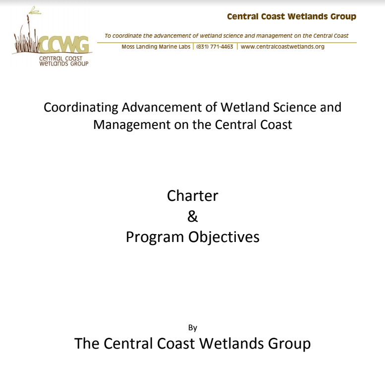 CCWG Charter