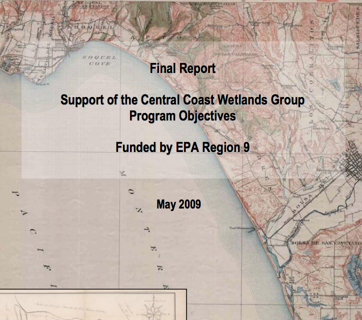 CCWG Development Final Report