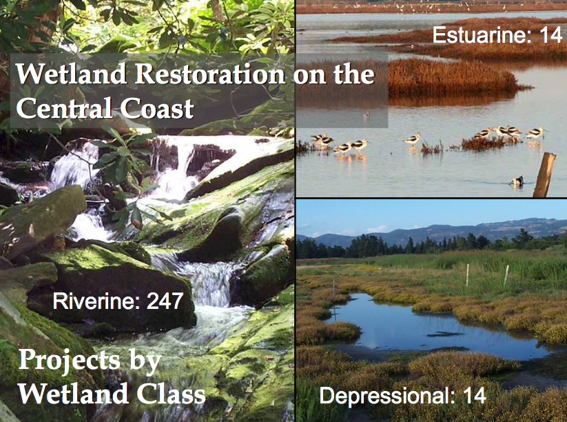 CCWG Informational Presentation