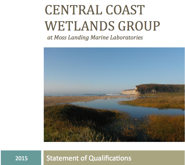 CCWG Statement of Qualifications