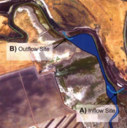 Clark Moro Cojo TAC Conclusion