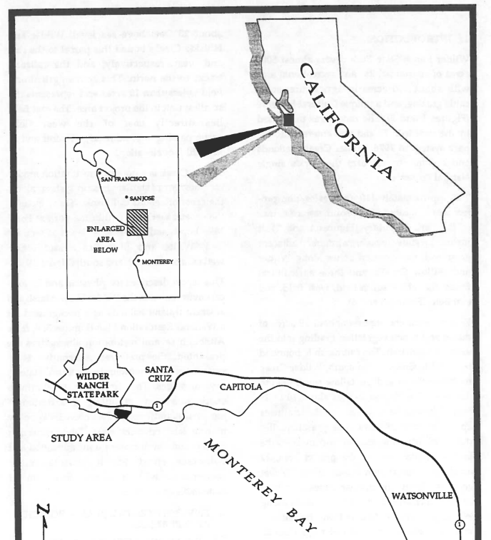 Wilder Ranch Wetland Restoration Plan