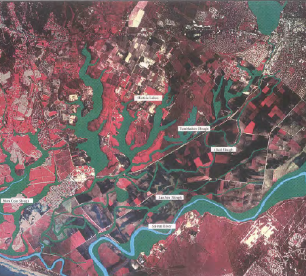 Clark Moro-Cojo TAC Intro