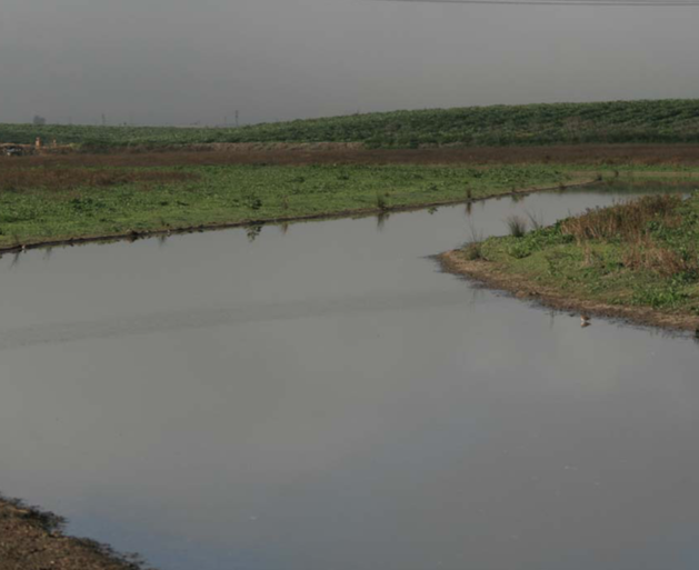 Implementation of the Moro Cojo Slough Management and Enhancement Plan: Restoration of the Core of the Watershed