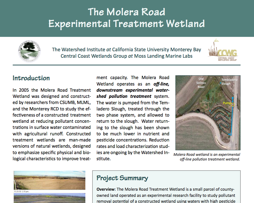 Molera Road Treatment Wetland Summary