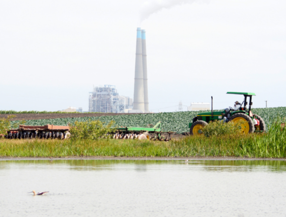 Moro Cojo Slough Management and Enhancement Status Update