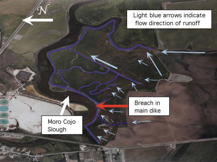 Moro Cojo Slough NPS Implementation Project
