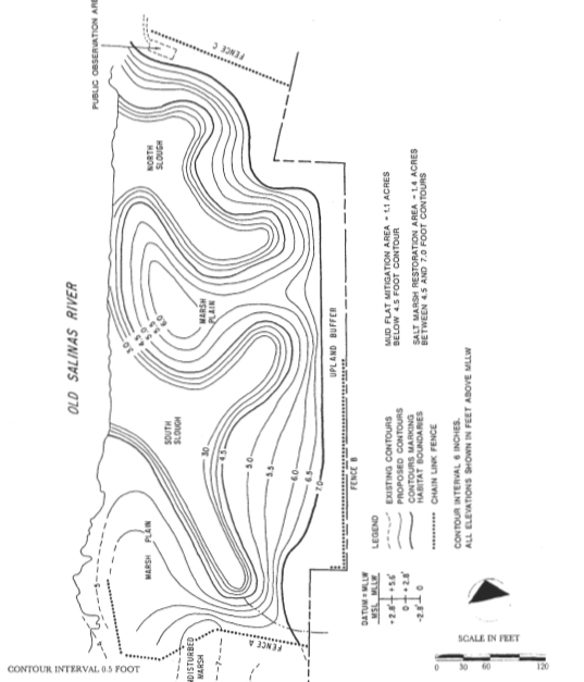 Moss Landing South Harbor Wetlands Restoration Project Monitoring