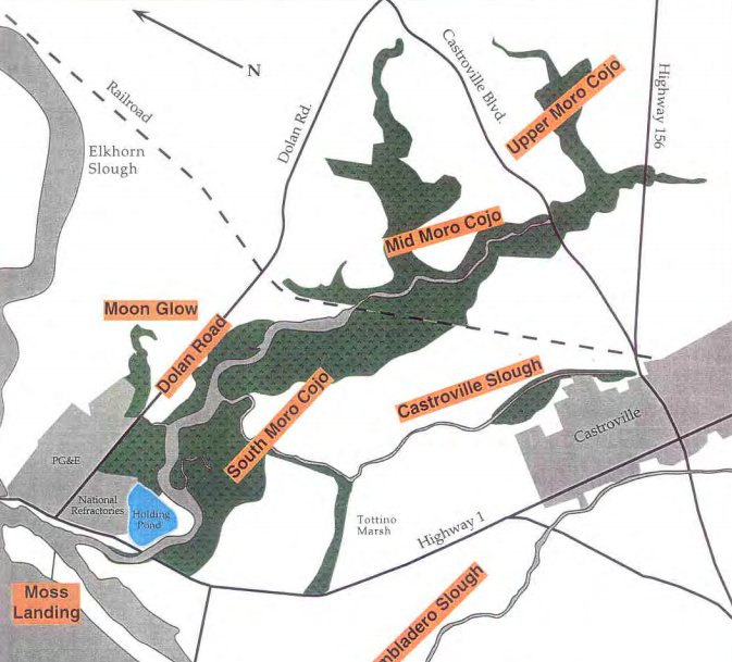 Northern Salinas Valley Watershed Restoration Plan: Final Report 1997