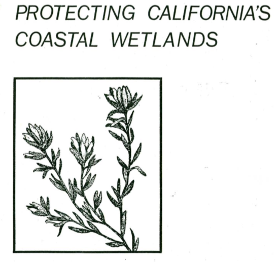 Protecting Californias Coastal Wetlands - A Procedural Manual