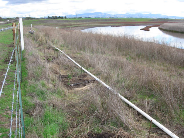 Restoring Natural Water Systems in Rural Residential Landscapes