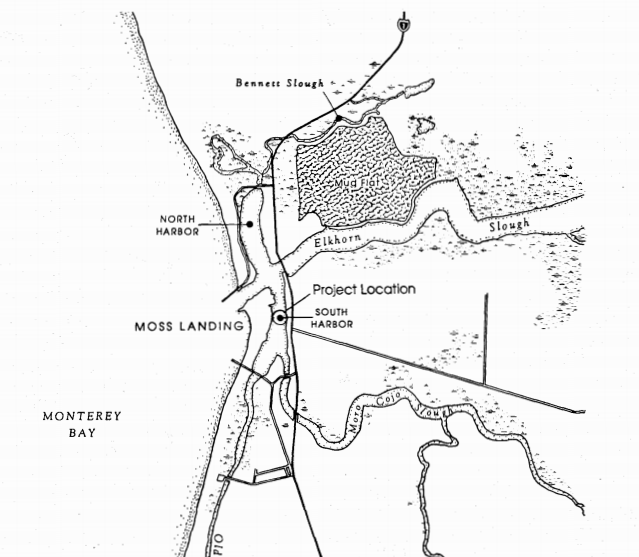 Revegetation and Monitoring Program for Moss Landing South Harbor Restoration Project