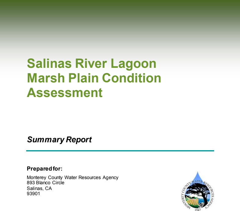 Salinas River Lagoon Marsh Plain Condition Assessment
