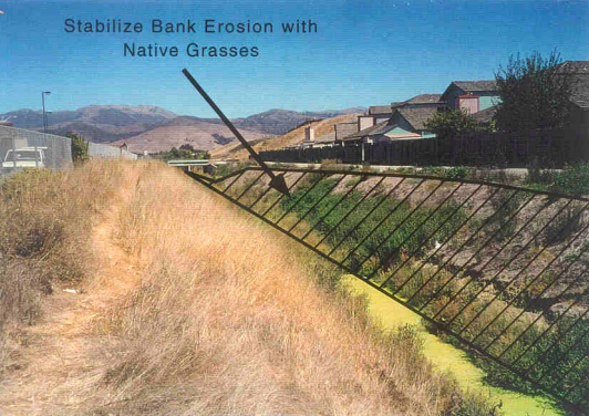 Update to Natividad Creek Park Restoration Plan: Water Reuse and Flood Protection around V.R. Barton School and Laurel Lake