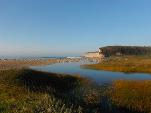 Using New Methodologies to Assess Bar-Built Estuaries Along California's Coastline