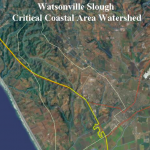 Watsonville Slough Critical Coastal Area #37