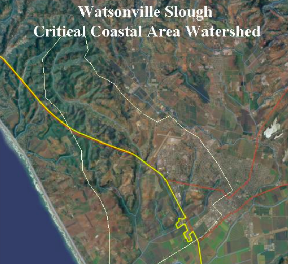 Watsonville Slough Critical Coastal Area #37