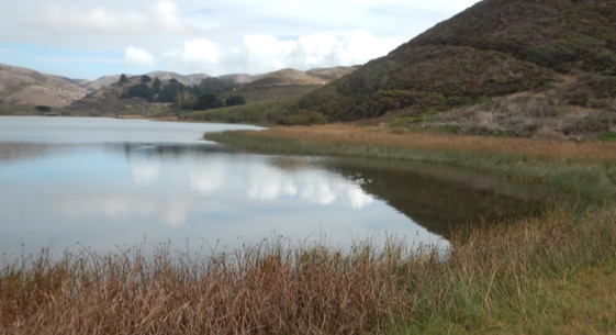 Assessment of Select Estuaries in Marin County
