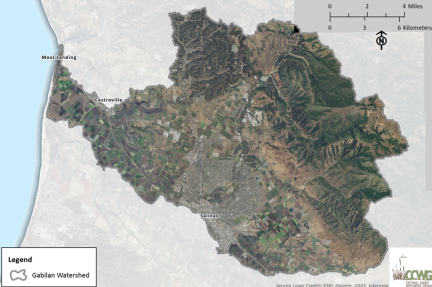 Improving California's Riverine and Wetland Management Efforts