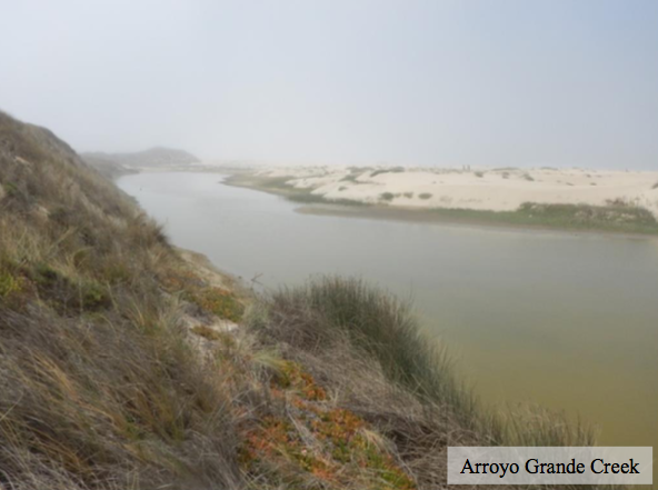Considerations for Management of the Mouth State of California's Bar-built Estuaries