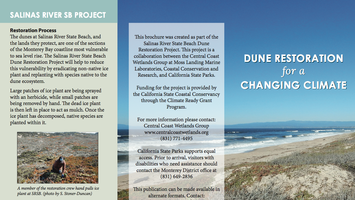 Dune Restoration for a Changing Climate - Salinas River SB Project