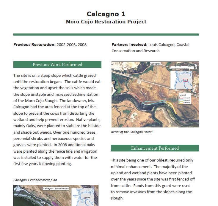 Calcagno 1  Moro Cojo Restoration Project