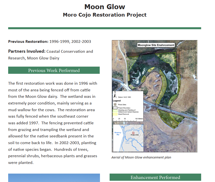 Moon Glow  Moro Cojo Restoration Project