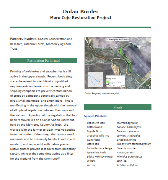 Dolan Border Moro Cojo Restoration Project