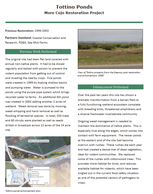 Tottino Ponds Moro Cojo Restoration Project