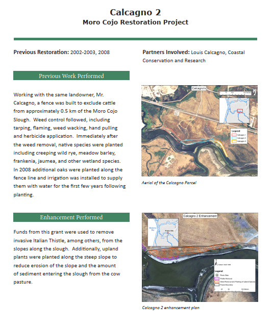 Calcagno 2 Moro Cojo Restoration Project