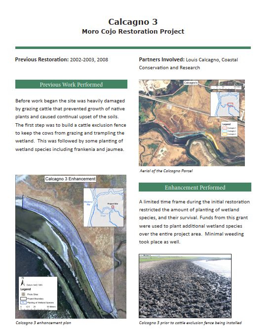 Calcagno 3 Moro Cojo Restoration Project