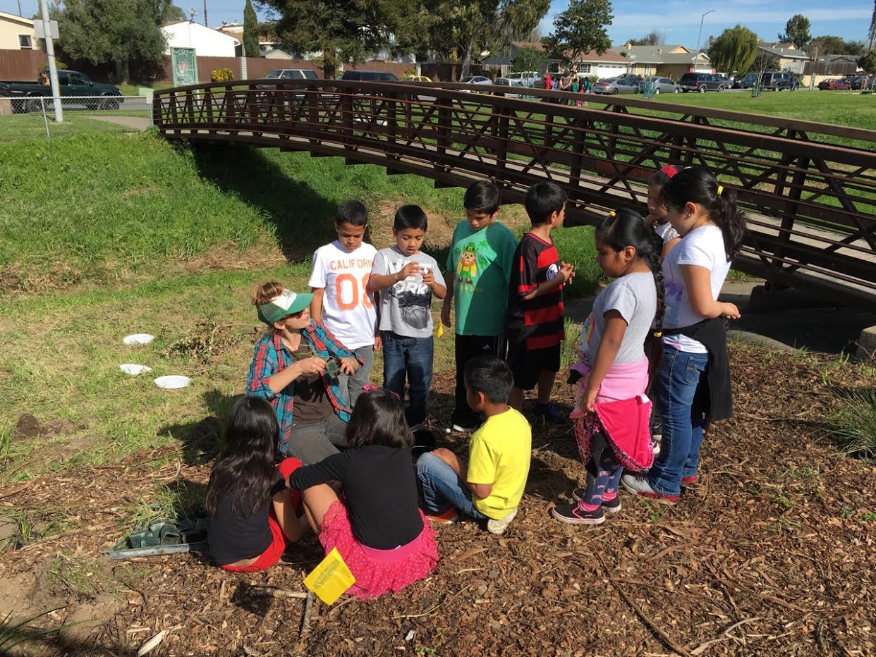 School Yard Habitat Project - Santa Rita Elementary School