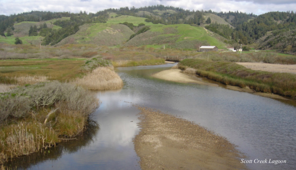 Final Report: Development of a Bar-built estuary monitoring system and resource management framework tool for California State Parks