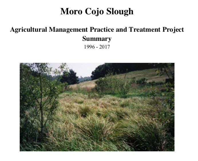 Moro Cojo Slough Agricultural Management Practice and Treatment Project Summary