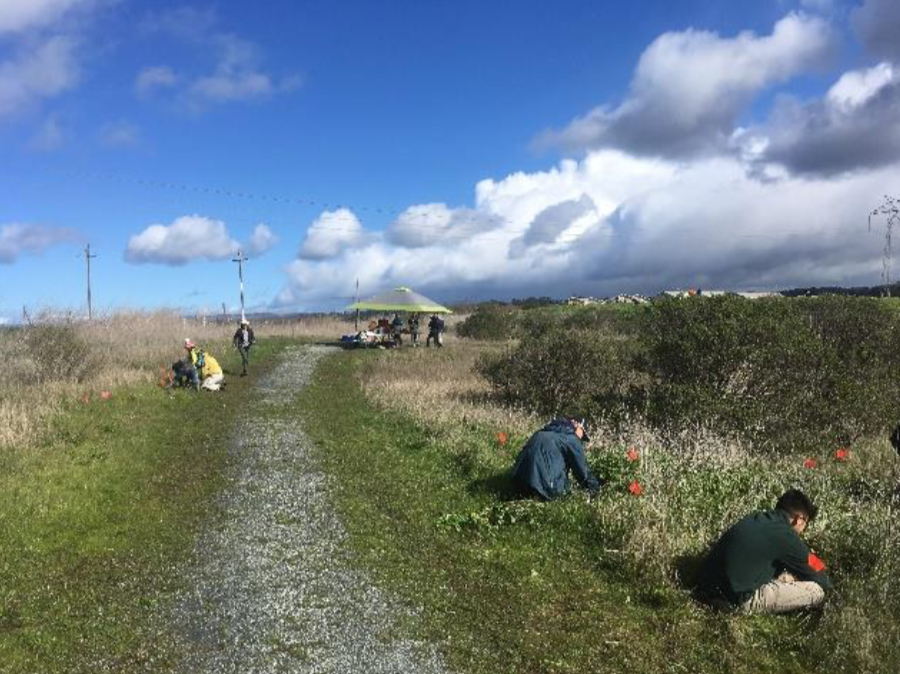 North Monterey County Habitat Enhancement Project Progress Report