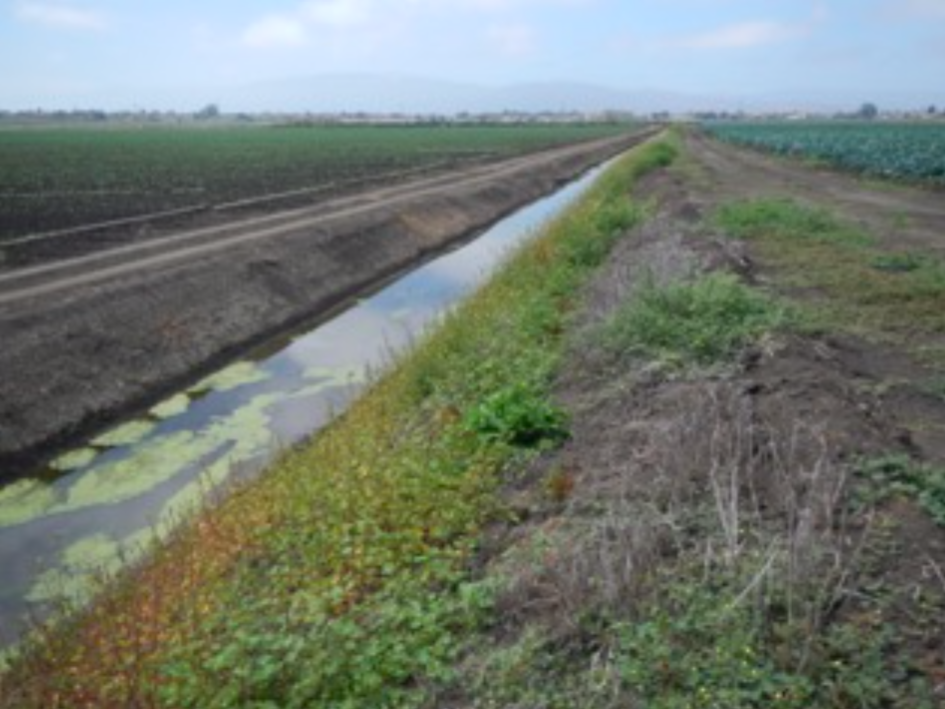 Carr Lake Restoration Site: Pre-Implementation Condition Assessment