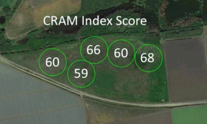 CRAM Assessment of the Watsonville Slough Farms