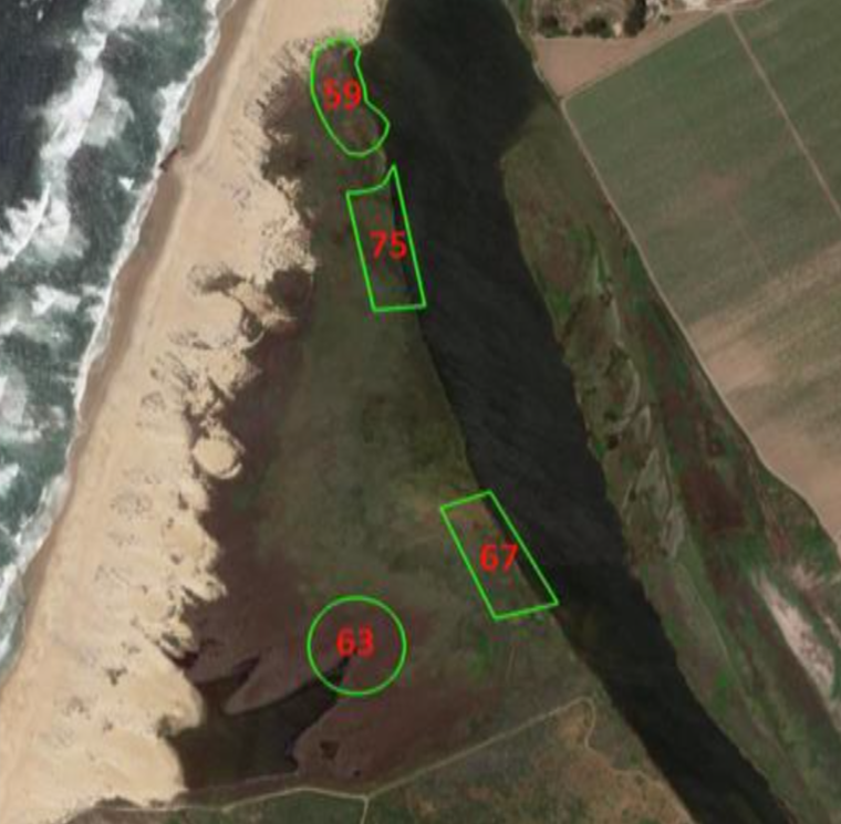 Salinas River Lagoon Marsh Plain Condition Assessment