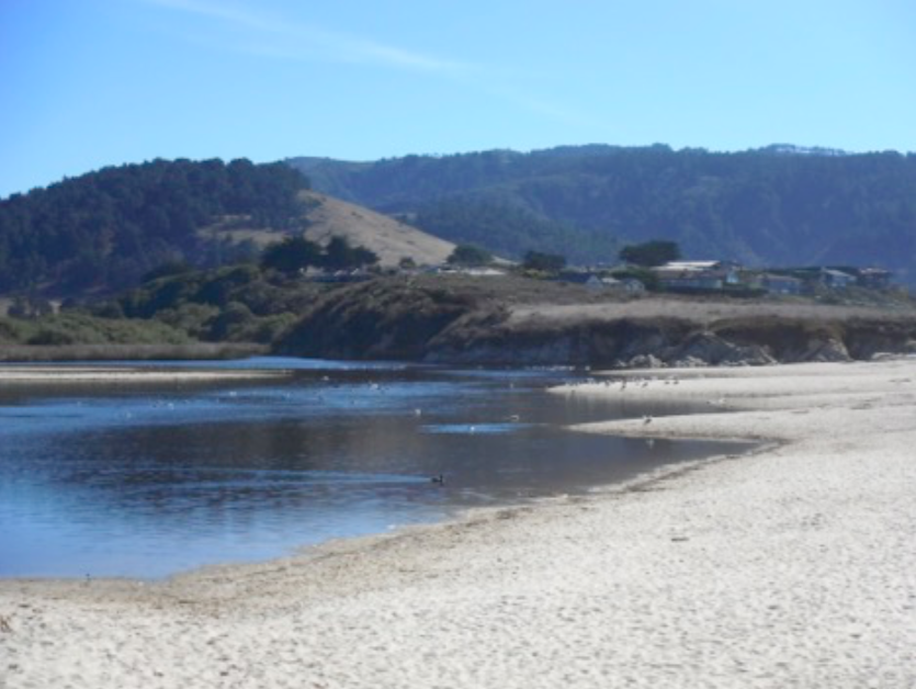 Pre-Project Implementation Condition Assessment - Carmel River Floodplain