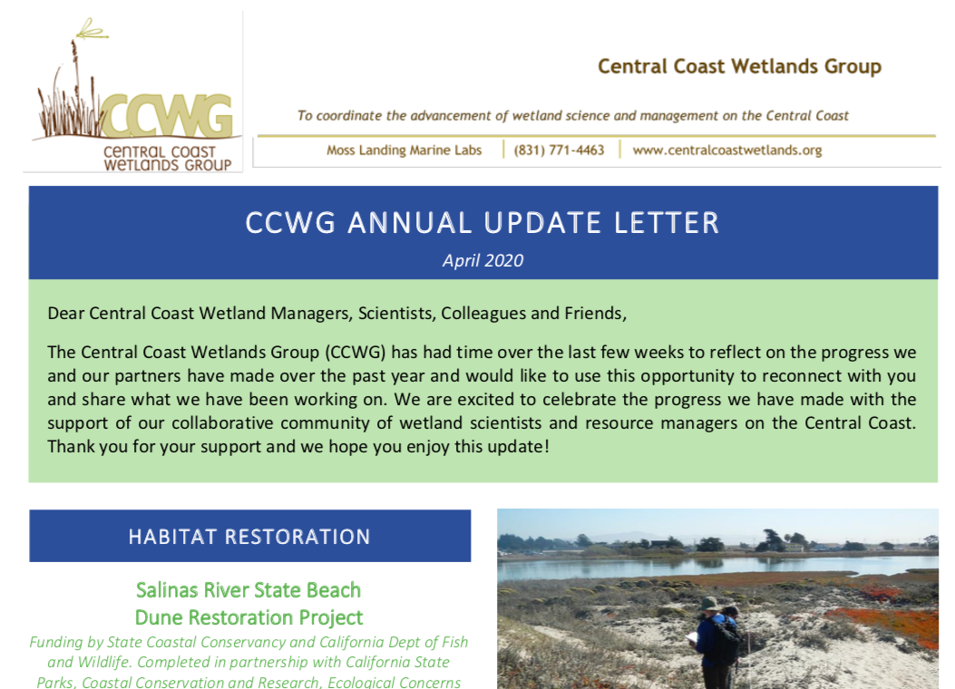 CCWG Newsletter 2020