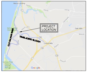 Old Salinas River Concept Restoration Designs