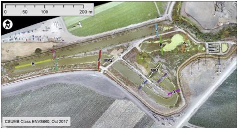 Characterization of physical dimensions and nutrient reduction in an experimental treatment wetland