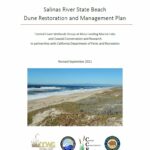 Salinas River State Beach Dune Restoration and Management Plan (2021)