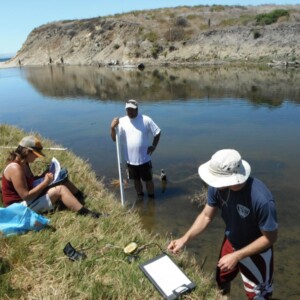 WETLAND RESEARCH & ASSESSMENTS