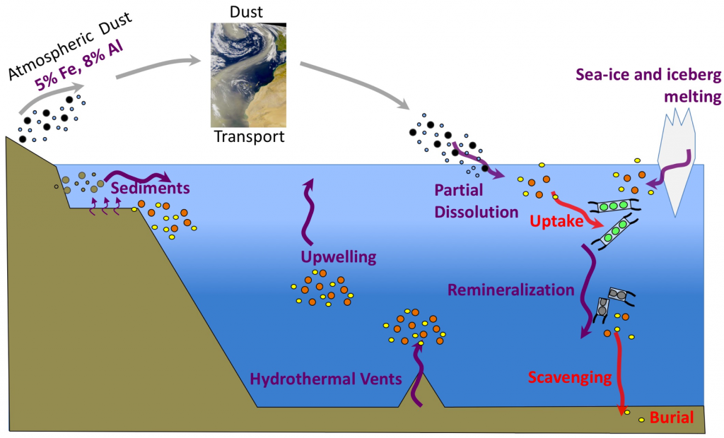 why-study-trace-metal-and-nutrient-cycling-in-ocean-chemical